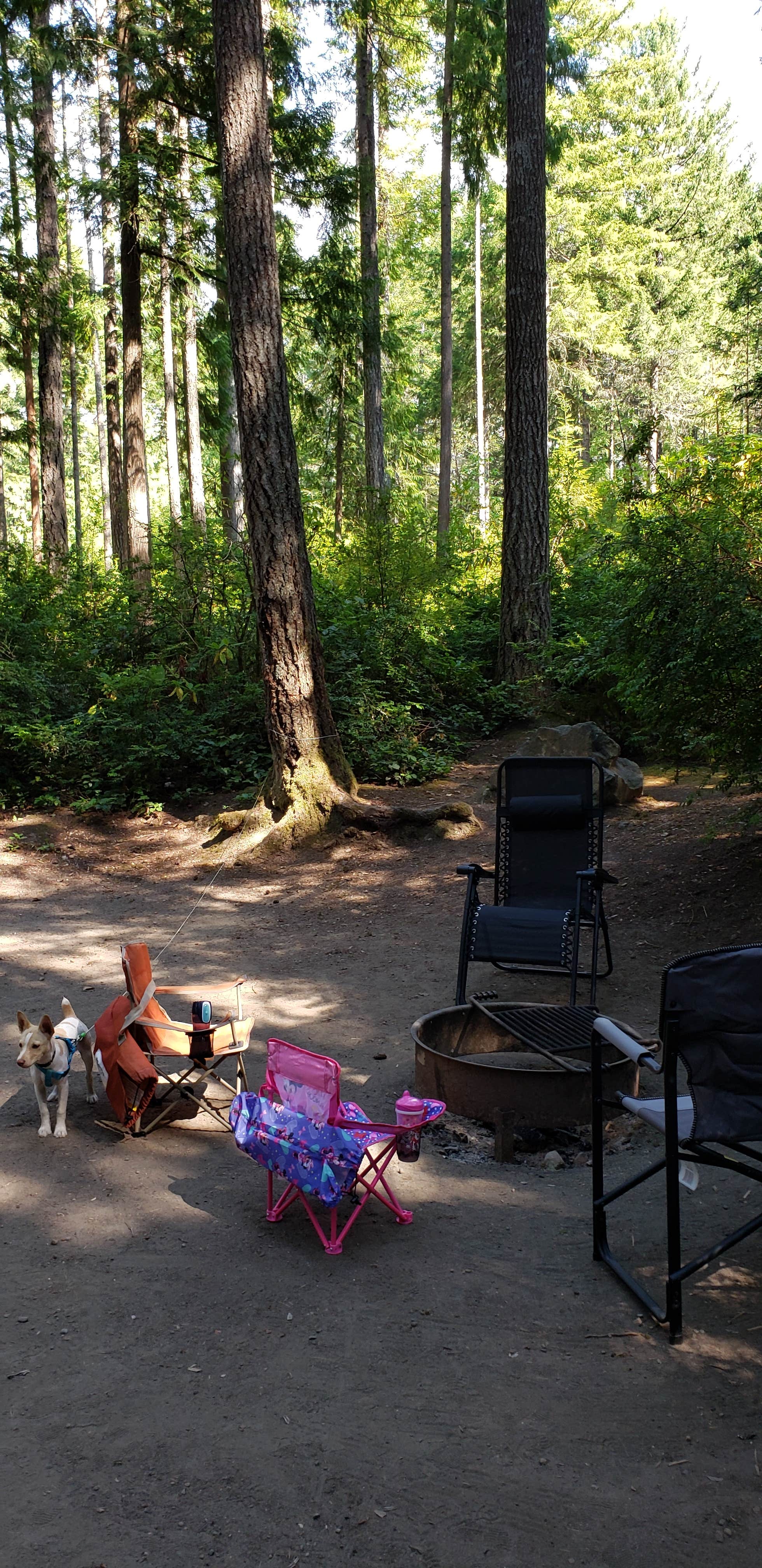 Camper submitted image from Scenic Beach State Park Campground - 4