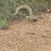 Review photo of Cheyenne Mountain State Park Raptor Glenn Campground by Jennifer M., August 18, 2020