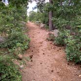 Review photo of Cheyenne Mountain State Park Raptor Glenn Campground by Jennifer M., August 18, 2020