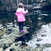 Review photo of Manatee Springs State Park by Brenda S., May 1, 2018