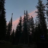 Review photo of Mazama Village Campground — Crater Lake National Park by Adam D., August 18, 2020