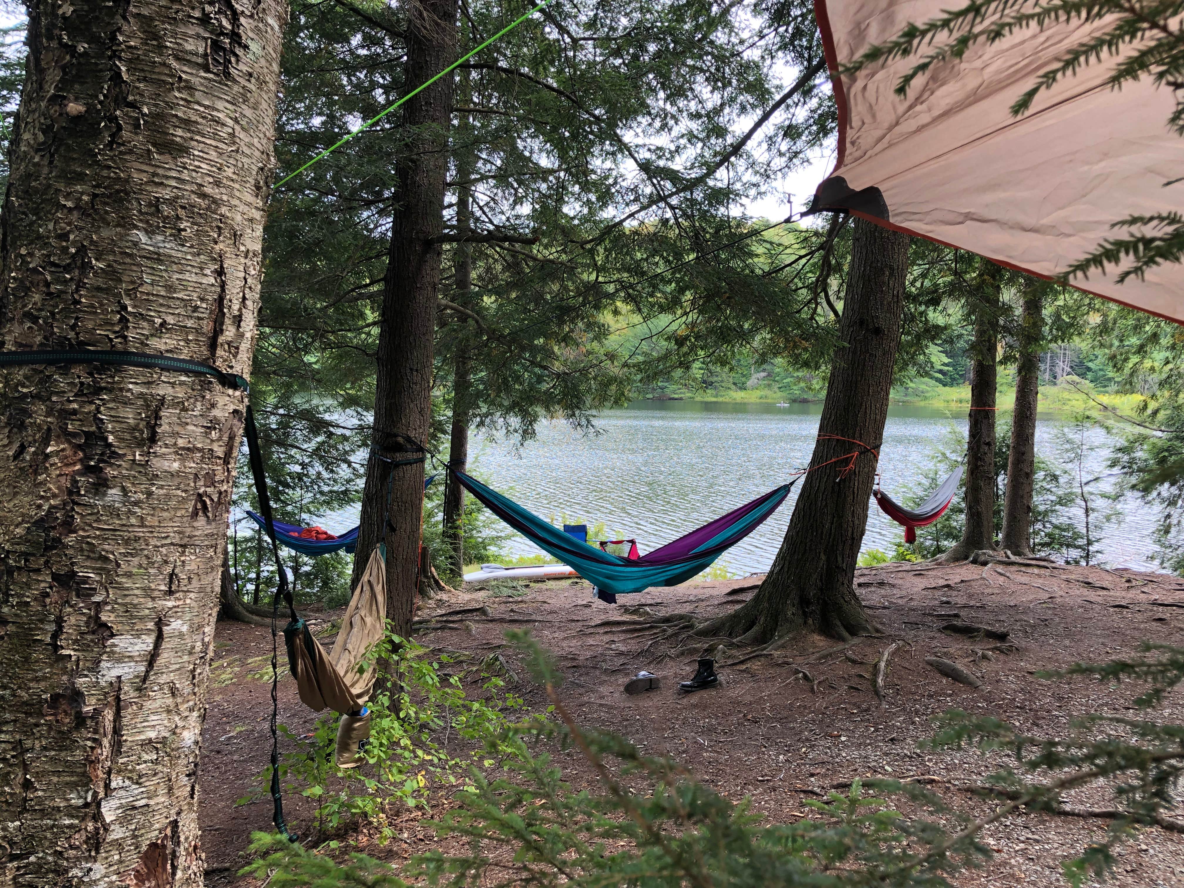 Camper-submitted photo at Cherry Plain State Park Campground near Mechanicville, NY