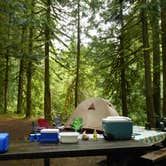 Review photo of Mount Hood National Forest Tollgate Campground by Denise  D., August 18, 2020