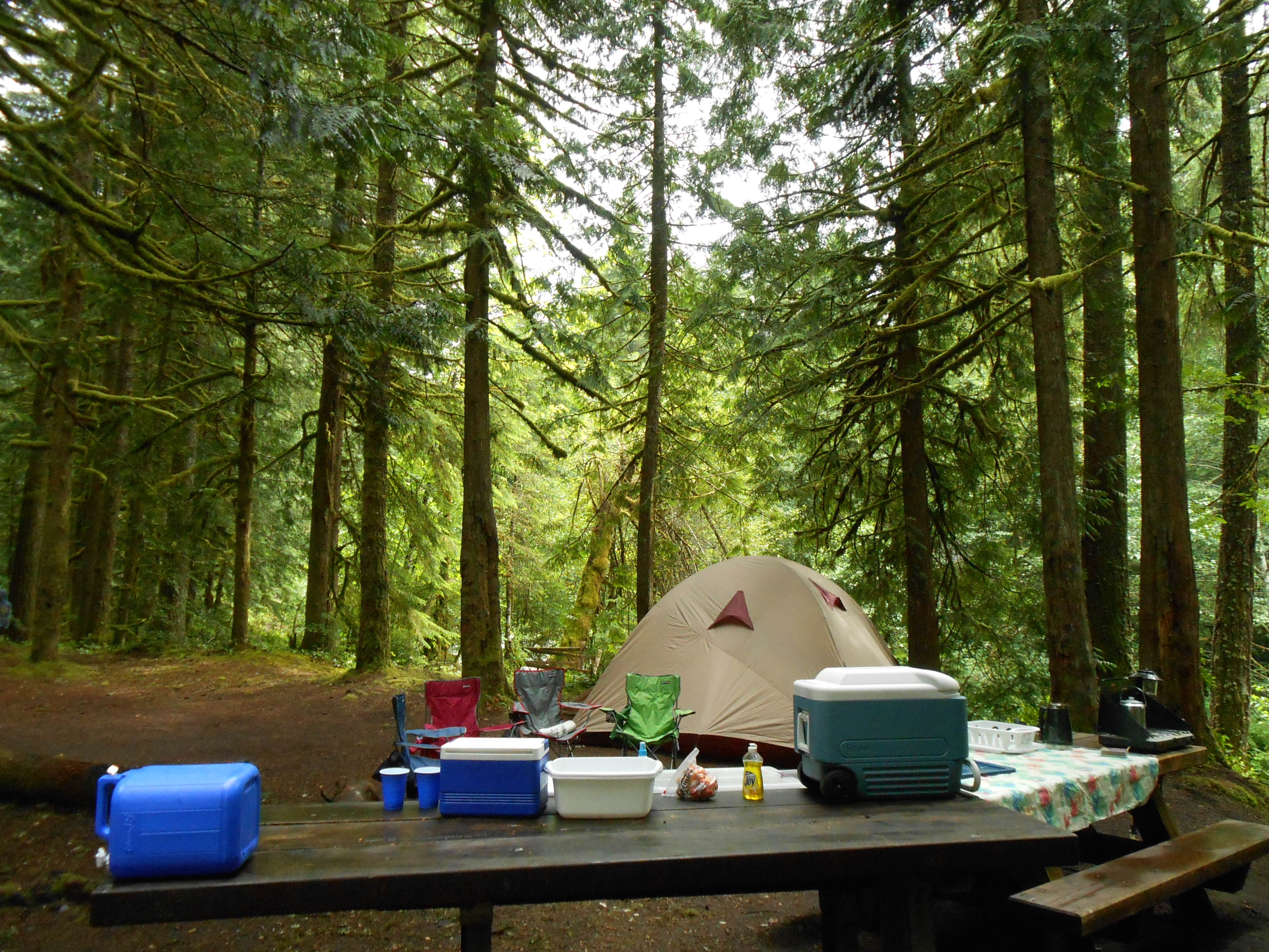 Escape To Oregon’s Jewel: Tollgate Campground – Your Unforgettable Adventure Awaits!