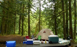 Denise  D.'s photo at Tollgate near Brightwood, OR