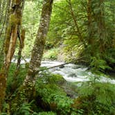 Review photo of Mount Hood National Forest Tollgate Campground by Denise  D., August 18, 2020