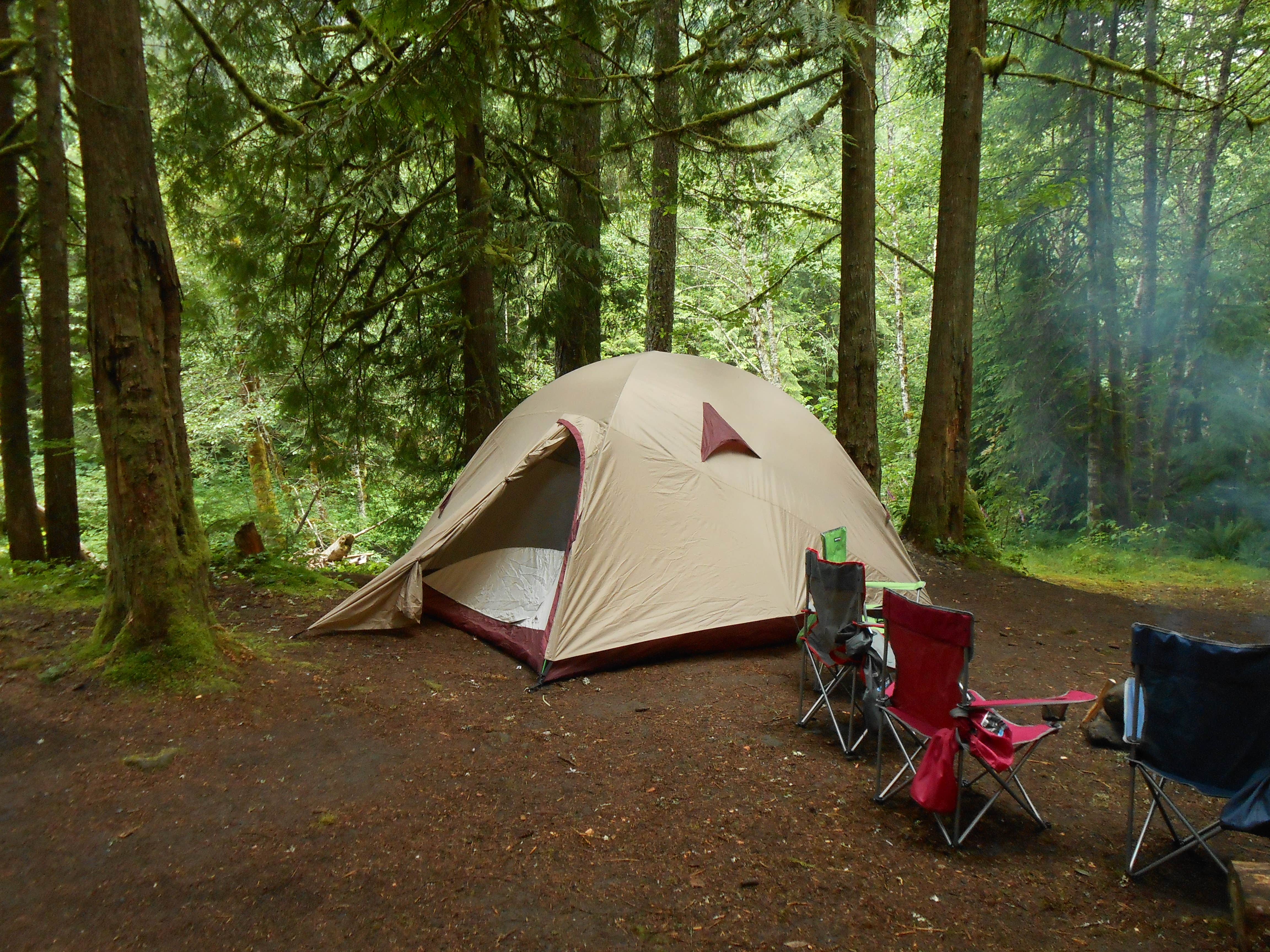 Denise  D.'s photo at Mount Hood National Forest Tollgate Campground near Brightwood, OR