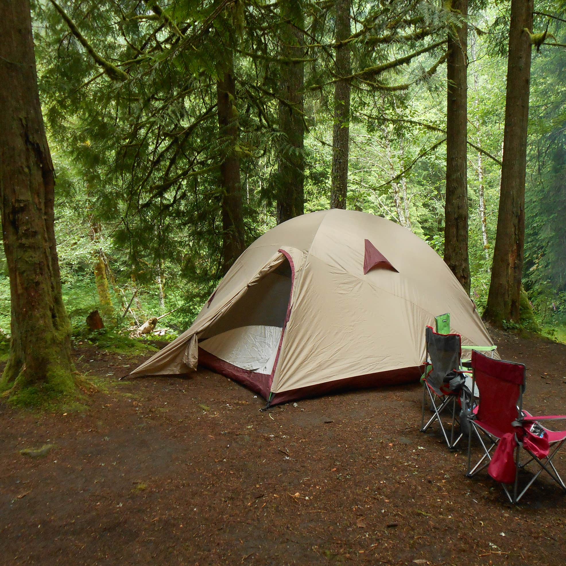 Tollgate Camping | The Dyrt