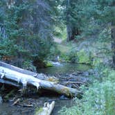 Review photo of Mazama Village Campground — Crater Lake National Park by Denise  D., August 18, 2020
