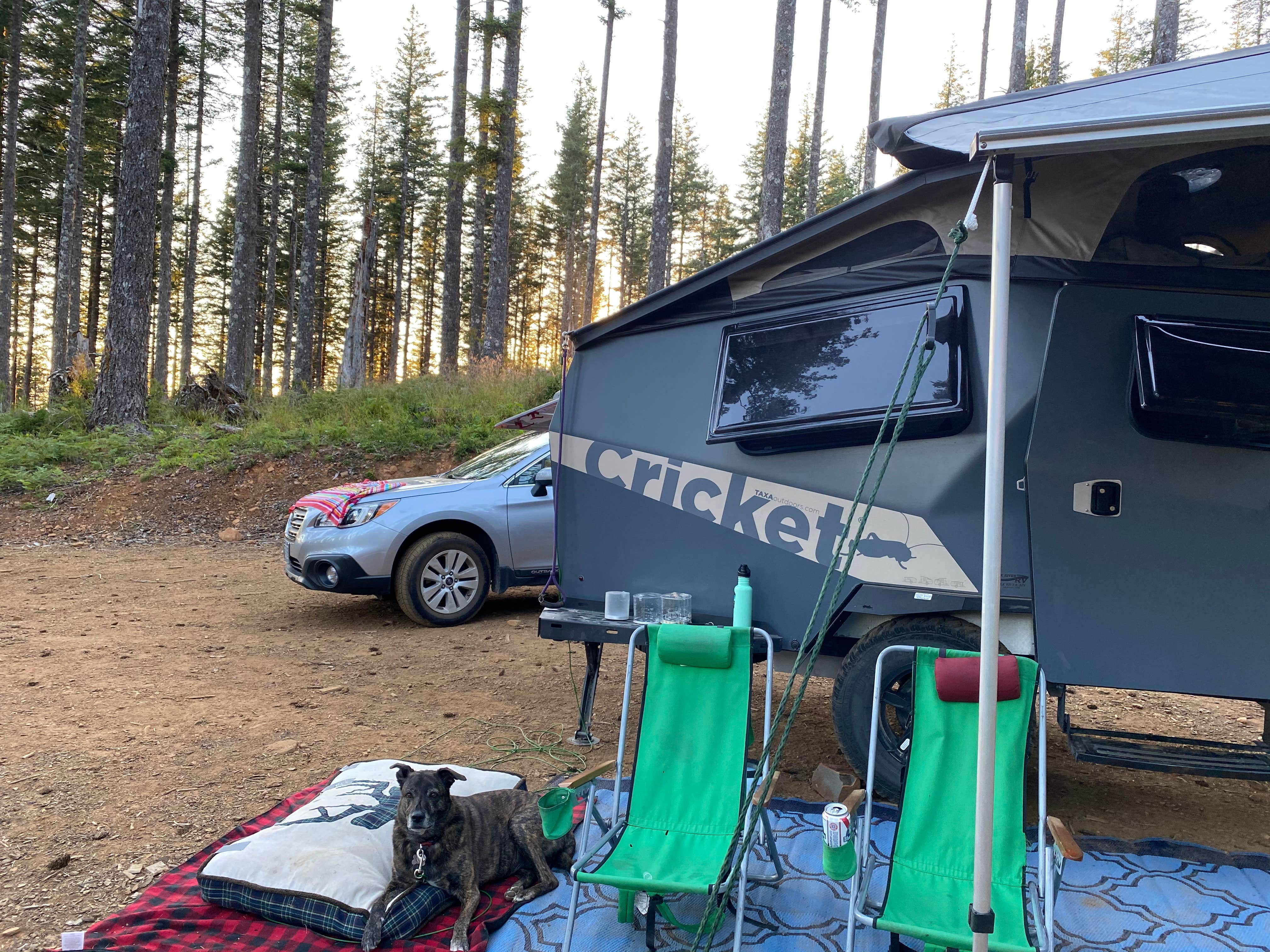 Camper submitted image from Dispersed Camping Near Pioneer-Indian Trail in Siuslaw National Forest - 2