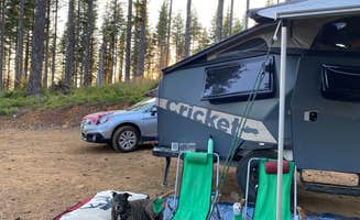 Sarah S.'s photo at Dispersed Camping Near Pioneer-Indian Trail in Siuslaw National Forest near Grand Ronde, OR