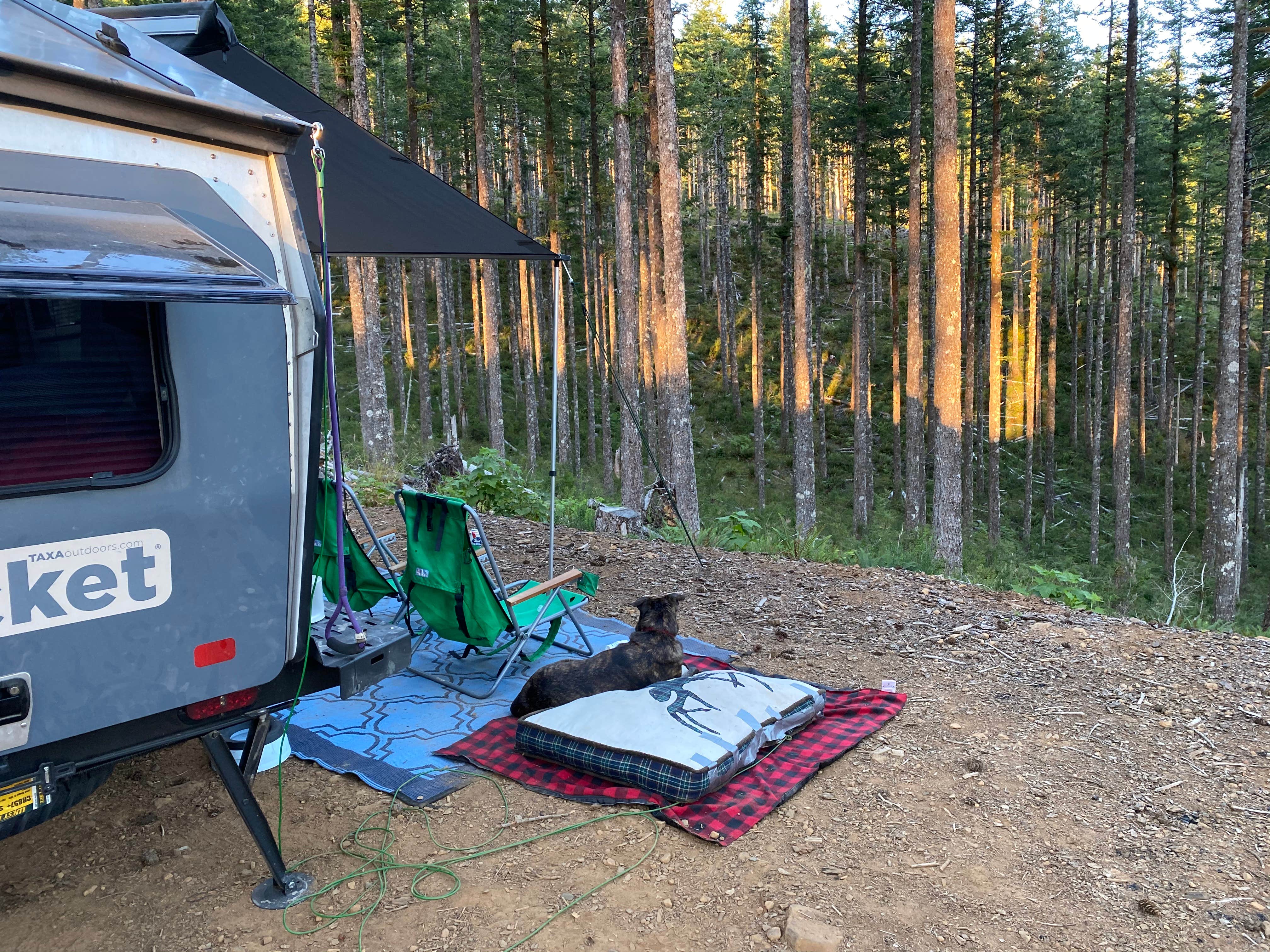 Dispersed Camping Near Pioneer Indian Trail in Siuslaw National