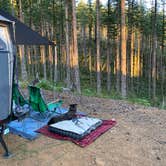 Review photo of Dispersed Camping Near Pioneer-Indian Trail in Siuslaw National Forest by Sarah S., August 18, 2020