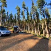 Review photo of Dispersed Camping Near Pioneer-Indian Trail in Siuslaw National Forest by Sarah S., August 18, 2020