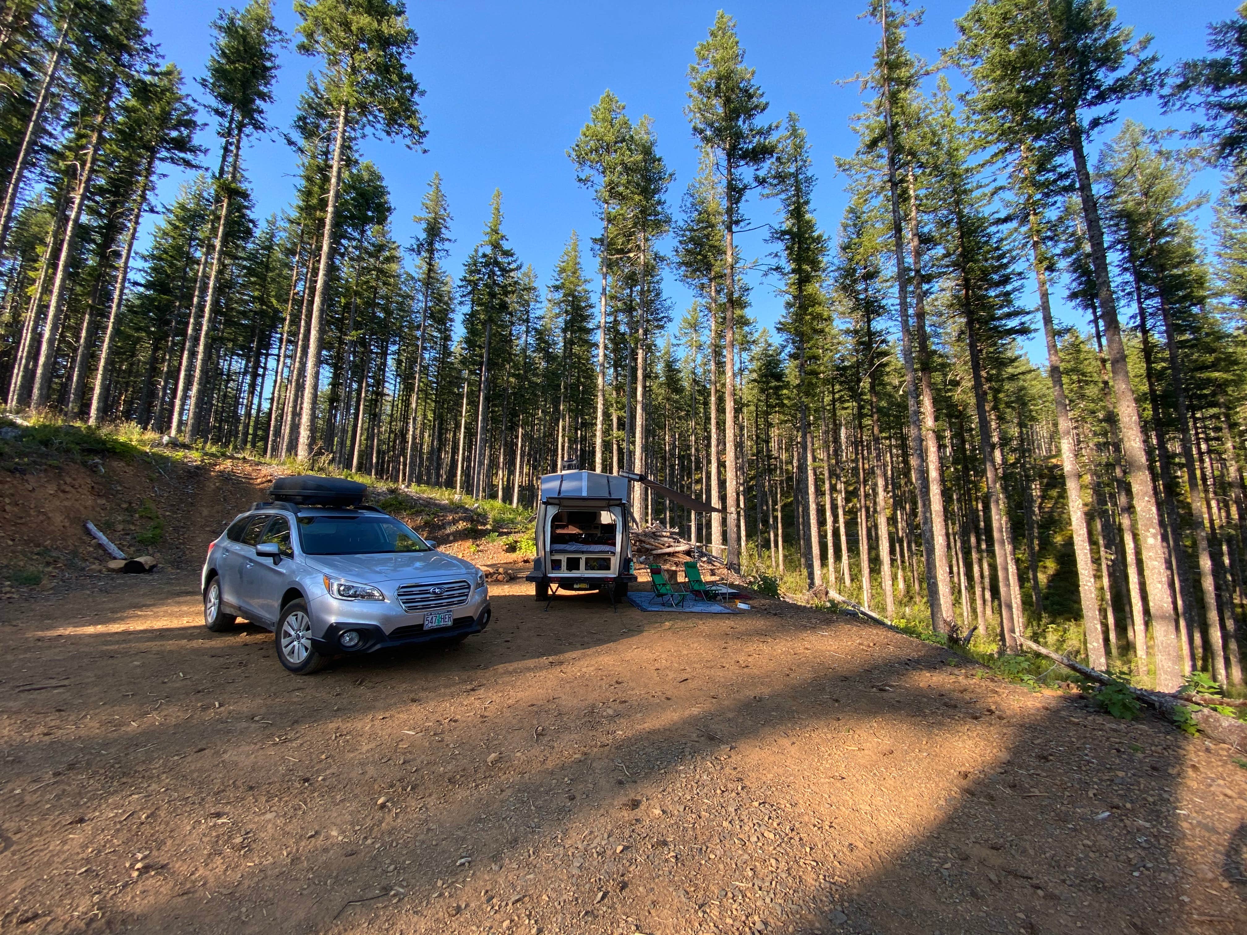 Camper submitted image from Dispersed Camping Near Pioneer-Indian Trail in Siuslaw National Forest - 3