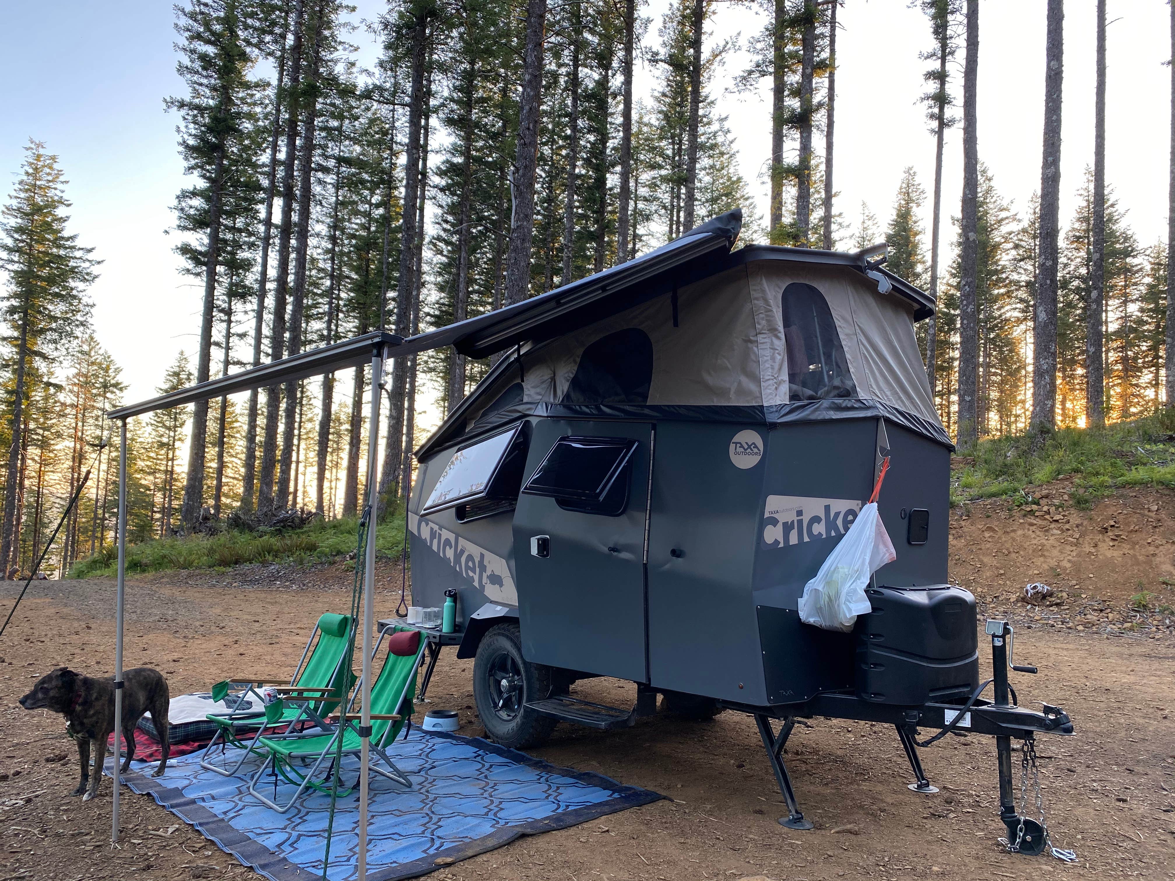 Sarah S.'s photo of camping with pets at Dispersed Camping Near Pioneer-Indian Trail in Siuslaw National Forest near Lincoln City, OR