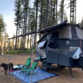 Review photo of Dispersed Camping Near Pioneer-Indian Trail in Siuslaw National Forest by Sarah S., August 18, 2020