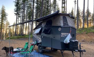 Sarah S.'s photo of camping with pets at Dispersed Camping Near Pioneer-Indian Trail in Siuslaw National Forest near Lincoln City, OR