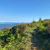 Review photo of Dispersed Camping Near Pioneer-Indian Trail in Siuslaw National Forest by Sarah S., August 18, 2020