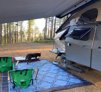 Camper-submitted photo from Dispersed Camping Near Pioneer-Indian Trail in Siuslaw National Forest