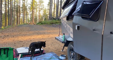 Dispersed Camping Near Pioneer-Indian Trail in Siuslaw National Forest