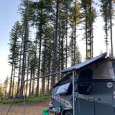 Review photo of Dispersed Camping Near Pioneer-Indian Trail in Siuslaw National Forest by Sarah S., August 18, 2020