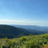 Review photo of Dispersed Camping Near Pioneer-Indian Trail in Siuslaw National Forest by Sarah S., August 18, 2020