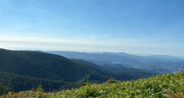 Dispersed Camping Near Pioneer-Indian Trail in Siuslaw National Forest