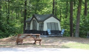 Camper-submitted photo from Cobble Hill RV Campground (Formerly) Carolina Rose