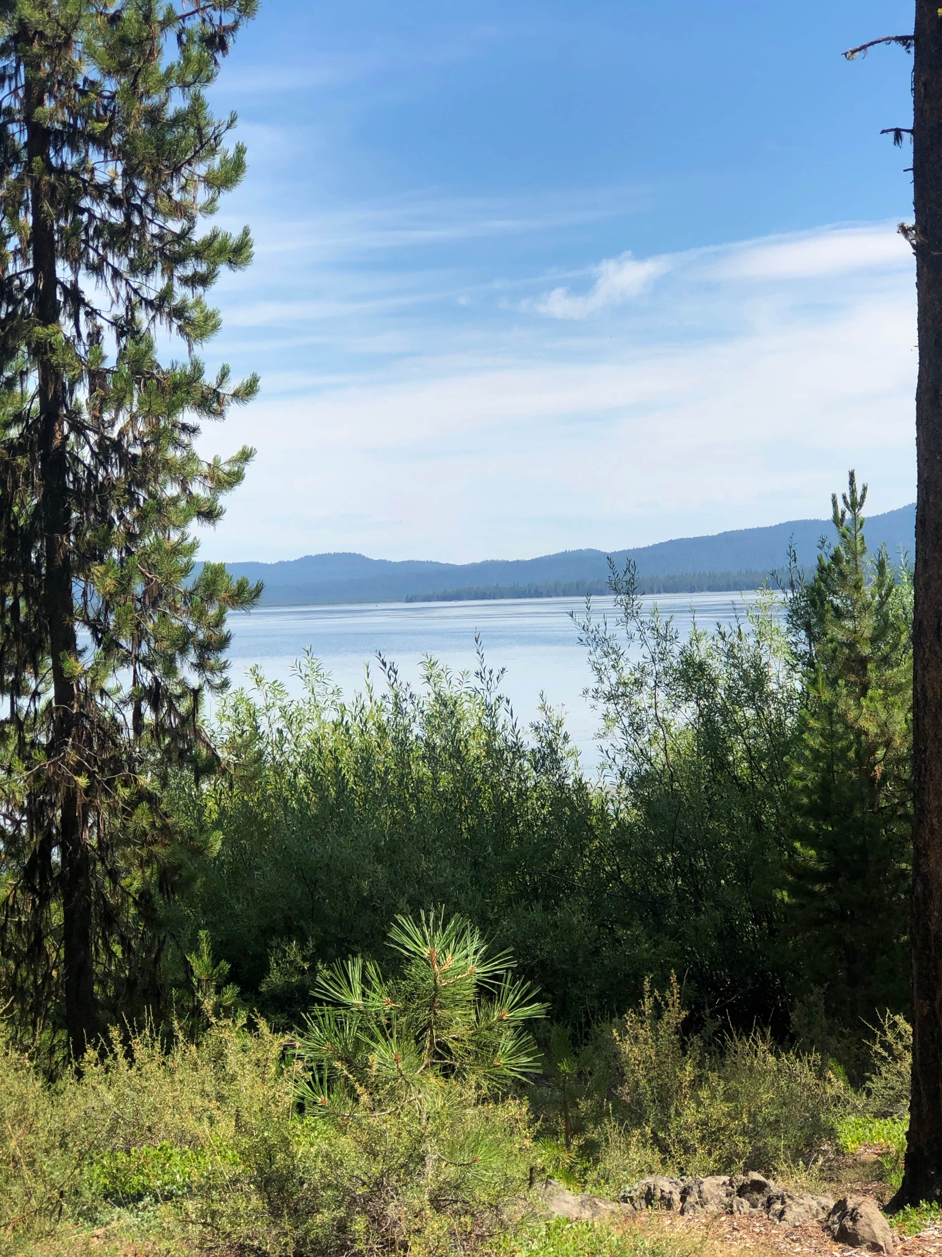 Camper submitted image from Rock Creek - 5