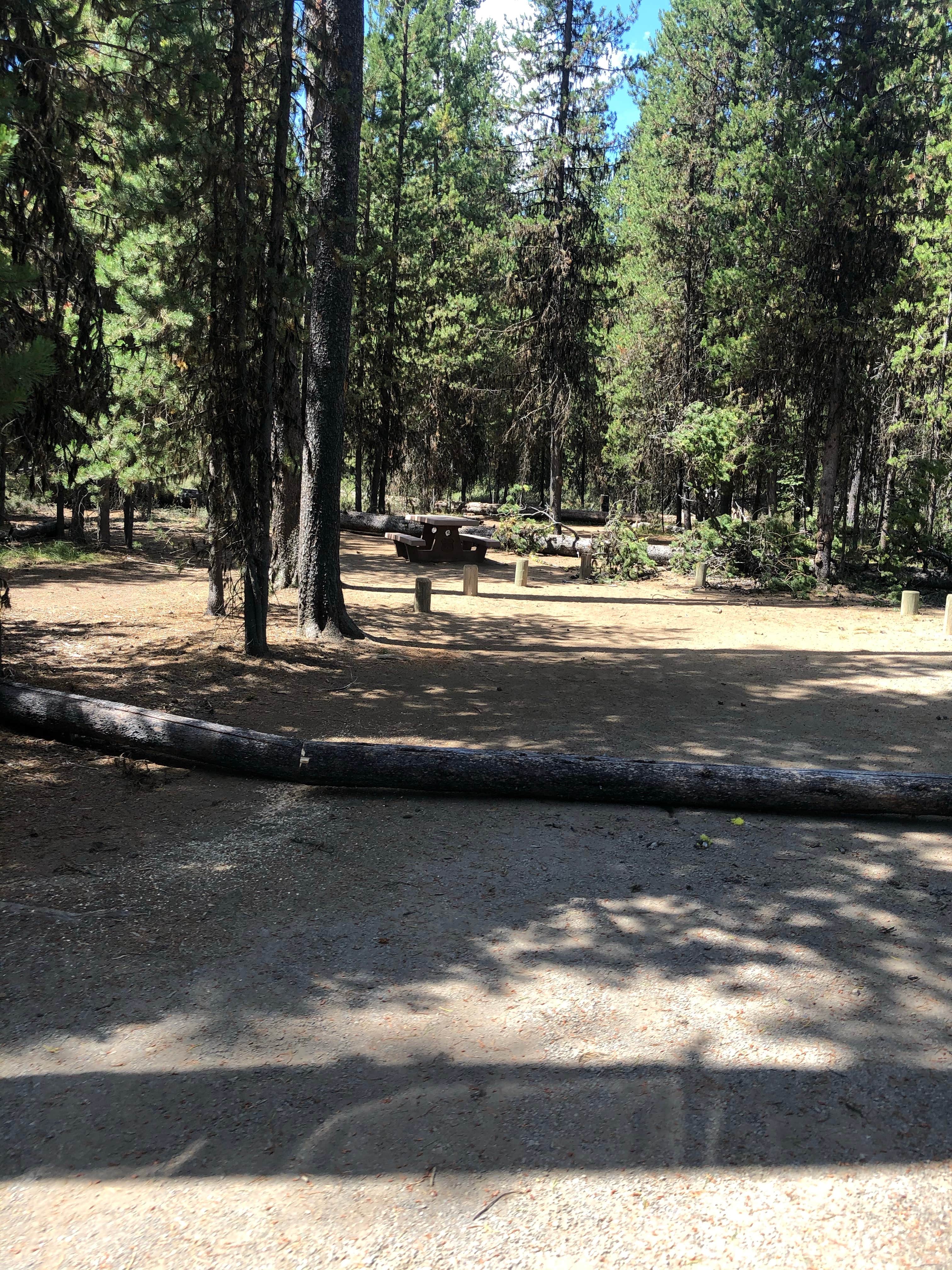 Camping near Cow Meadow Campground: Rock Creek, La Pine, Oregon