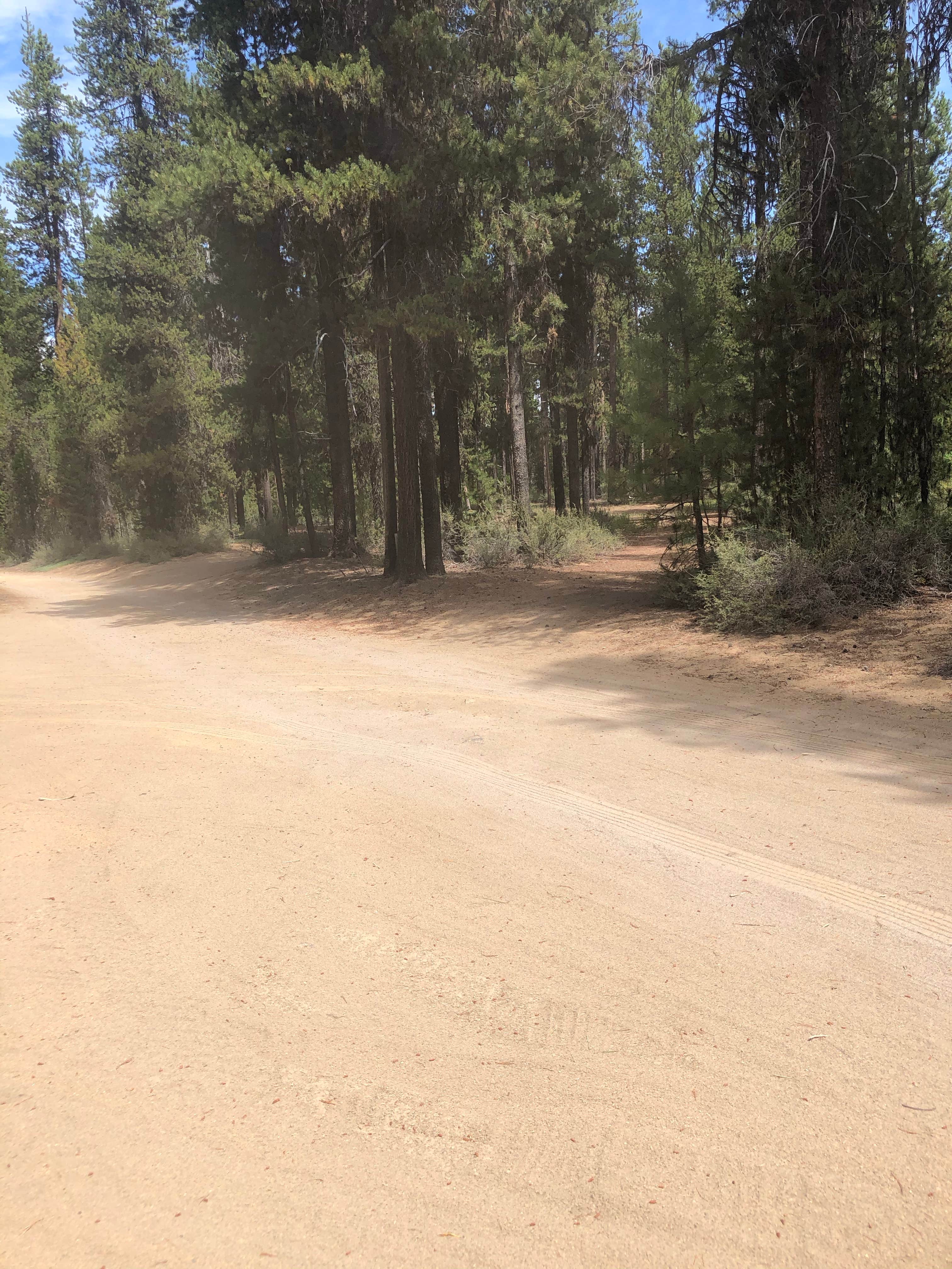 Camper-submitted photo at Rock Creek Dispersed Camping near Crescent, OR