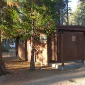 Review photo of Fallen Leaf Campground - South Lake Tahoe by Berton M., August 18, 2020