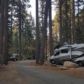 Review photo of Fallen Leaf Campground - South Lake Tahoe by Berton M., August 18, 2020