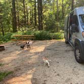 Review photo of Maquoketa Caves State Park Campground by Shelly S., August 18, 2020