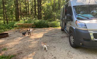 Shelly S.'s photo of camping with pets at Maquoketa Caves State Park Campground near Dubuque, IA