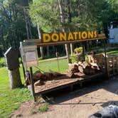 Review photo of Maquoketa Caves State Park Campground by Shelly S., August 18, 2020