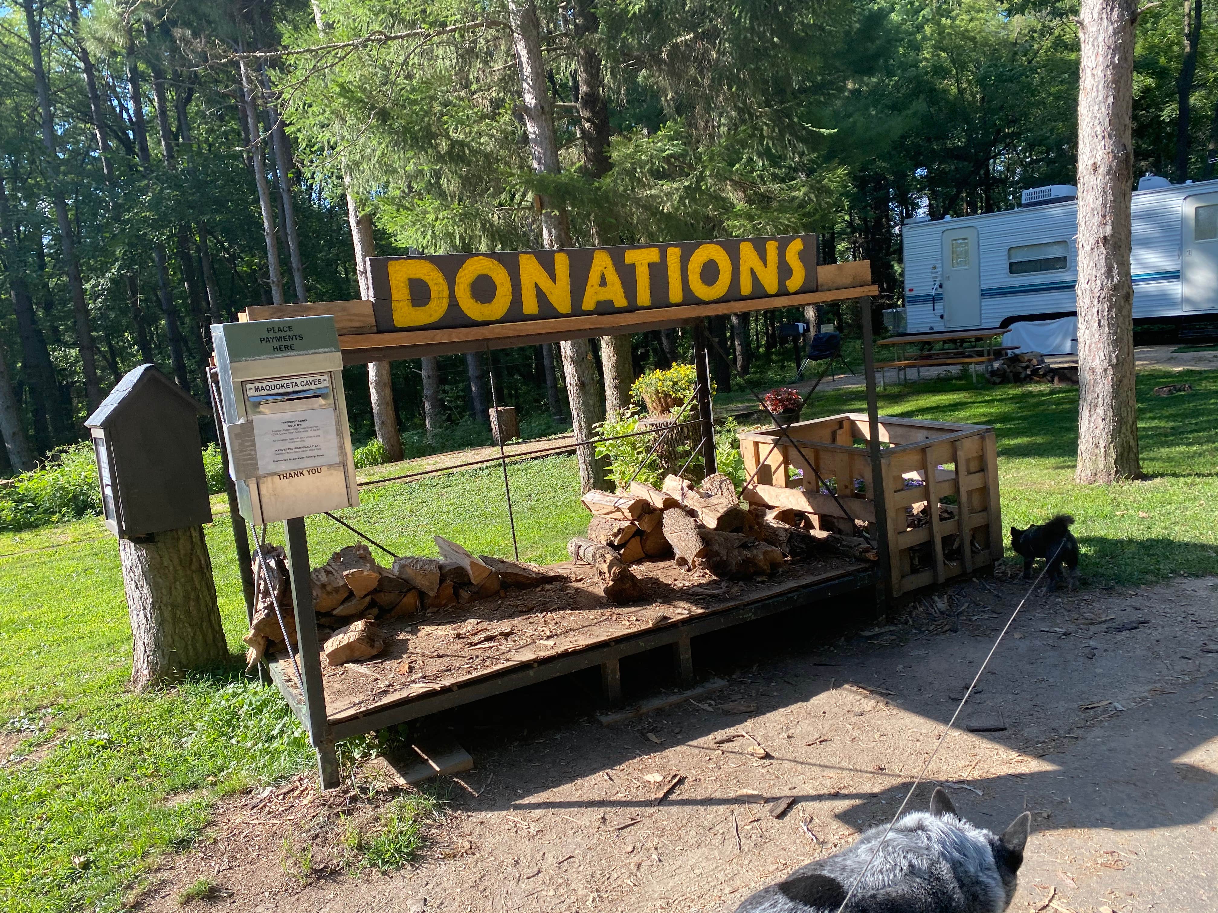 Camper submitted image from Maquoketa Caves State Park Campground - 1