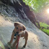 Review photo of Maquoketa Caves State Park Campground by Shelly S., August 18, 2020