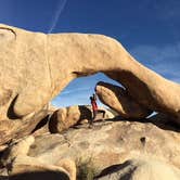 Review photo of White Tank Campground — Joshua Tree National Park by Brittany H., May 1, 2018