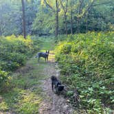 Review photo of Maquoketa Caves State Park Campground by Shelly S., August 18, 2020