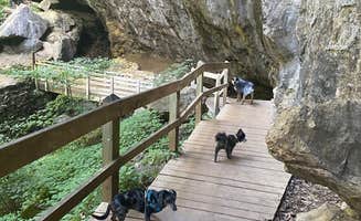 Shelly S.'s photo of camping with pets at Maquoketa Caves State Park Campground near Hanover, IL