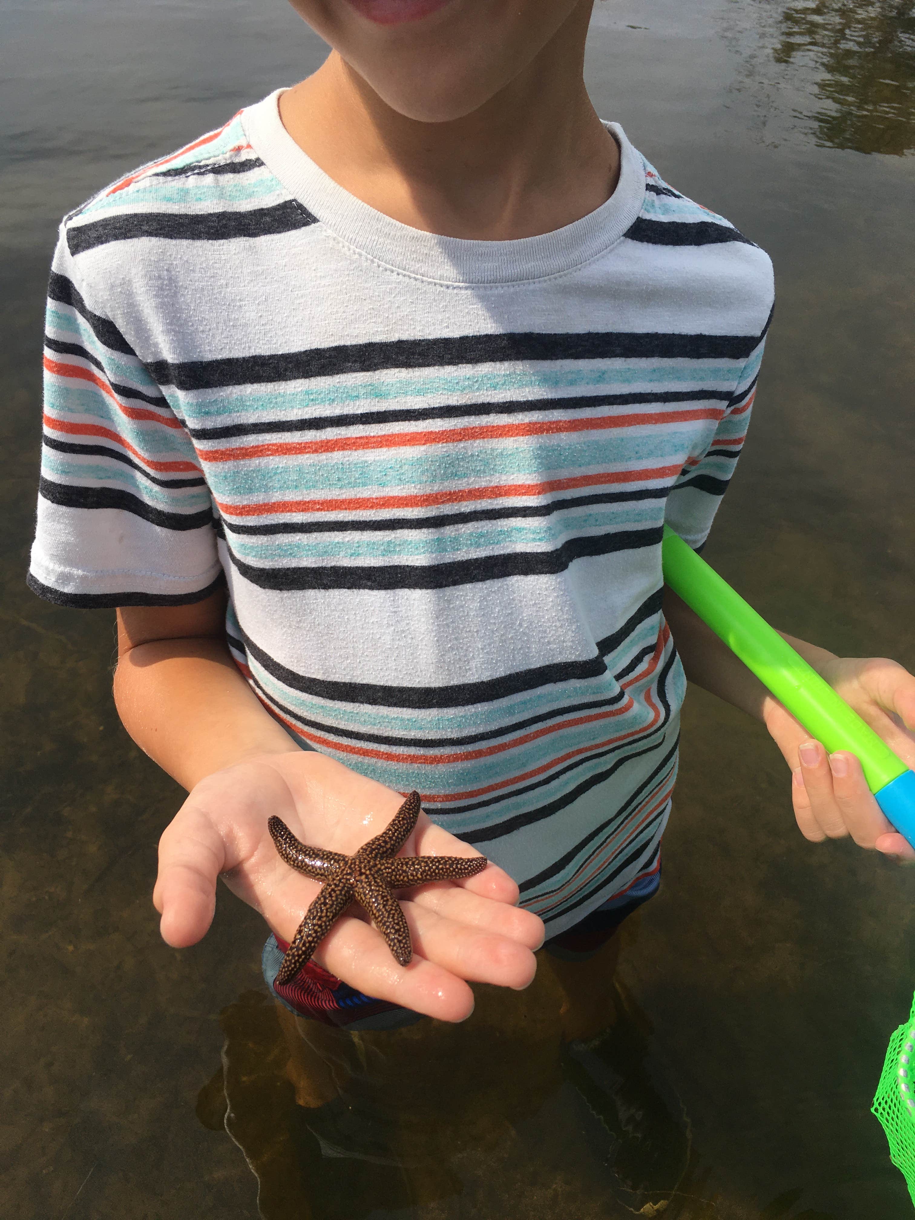 Camper-submitted photo at T.H. Stone Memorial St. Joseph Peninsula State Park Campground near Mexico Beach, FL