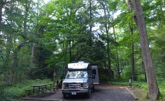 Gary P.'s photo of rv camping at Swallow Falls State Park Campground near Keyser, WV