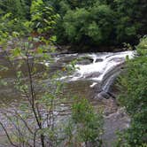 Review photo of Swallow Falls State Park Campground by Gary P., August 18, 2020