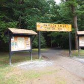 Review photo of Swallow Falls State Park Campground by Gary P., August 18, 2020