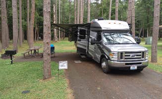 Gary P.'s photo of rv camping at Cook Forest State Park Campground & Cabins near Rockton, PA