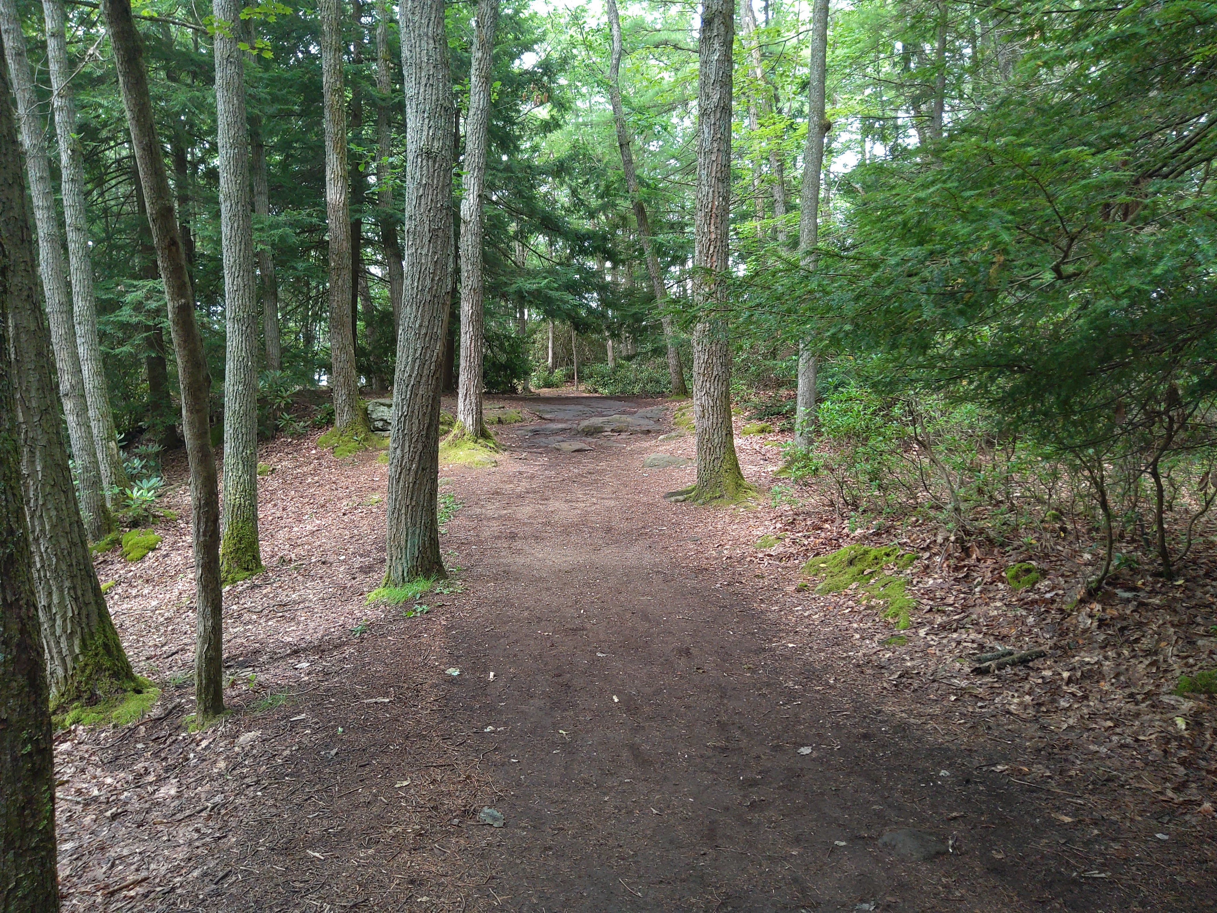 One of the many trails
