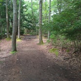 Review photo of Cook Forest State Park Campground by Gary P., August 18, 2020