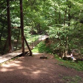 Review photo of Cook Forest State Park Campground by Gary P., August 18, 2020